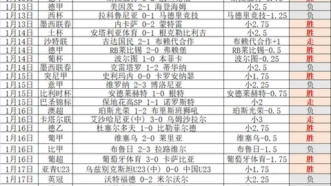 博洛尼亚队官方签约克罗地亚后卫埃尔利奇